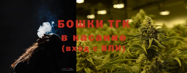 гашик Белокуриха